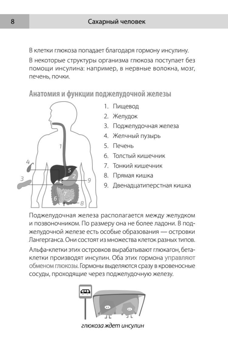 Книга Сахарный человек. Все, что вы хотели знать о сахарном диабете 1-го типа
